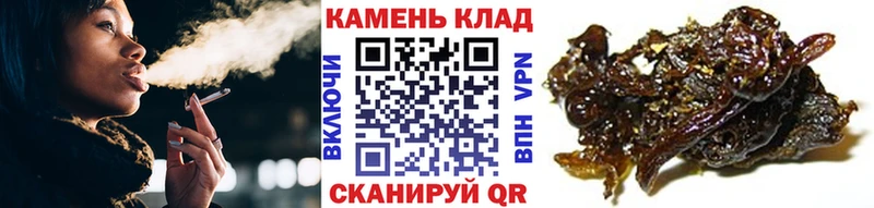 купить наркотик  Барабинск  ГАШИШ Premium 