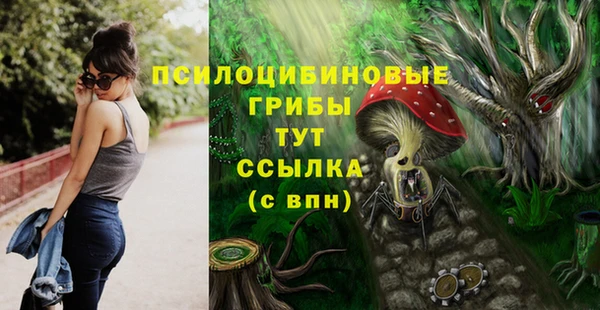 spice Арсеньев