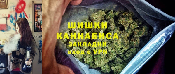 индика Аркадак