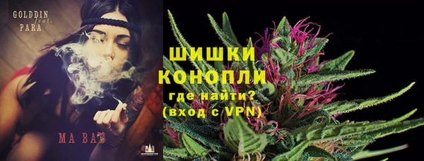индика Аркадак