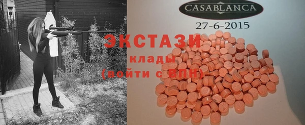 индика Аркадак