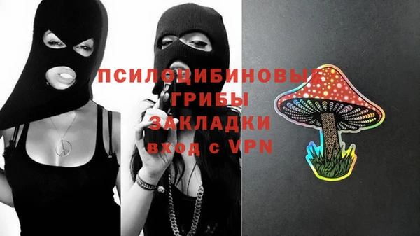 spice Арсеньев