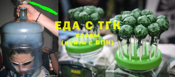 индика Аркадак